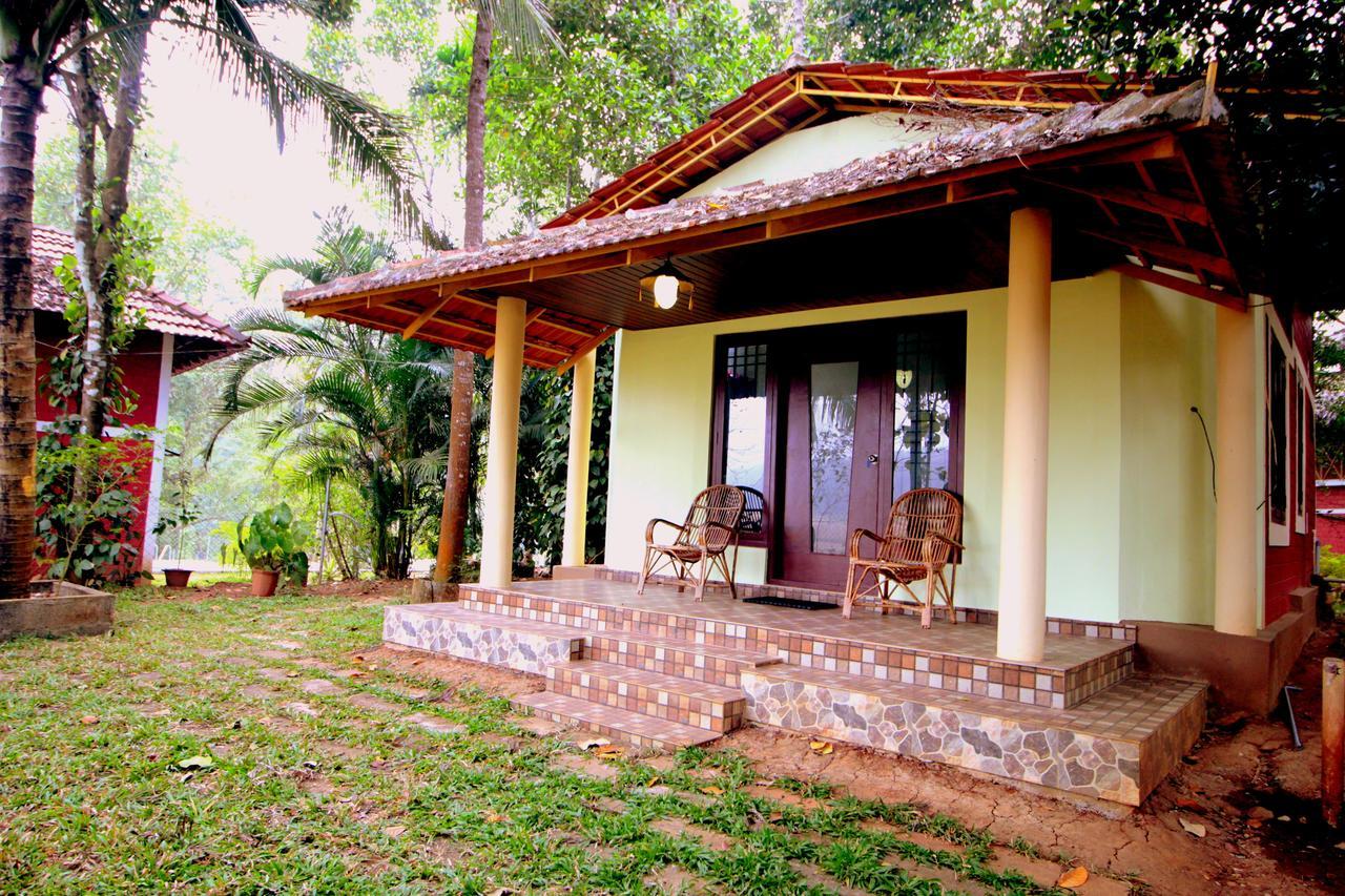 Pepper Green Wayanad Resort With Swimming Pool Kattikkulam المظهر الخارجي الصورة
