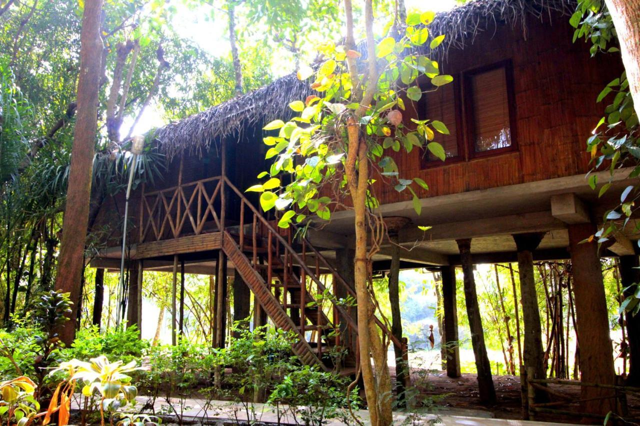 Pepper Green Wayanad Resort With Swimming Pool Kattikkulam المظهر الخارجي الصورة