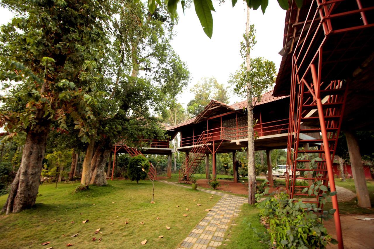 Pepper Green Wayanad Resort With Swimming Pool Kattikkulam المظهر الخارجي الصورة