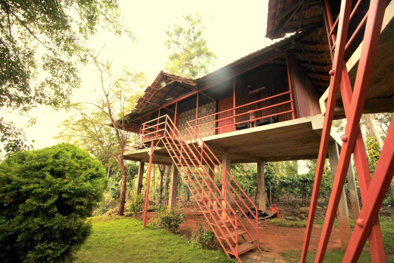 Pepper Green Wayanad Resort With Swimming Pool Kattikkulam المظهر الخارجي الصورة