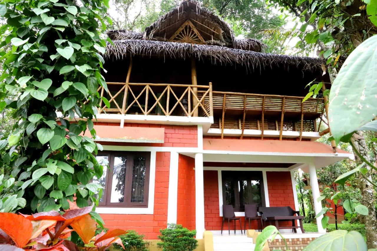 Pepper Green Wayanad Resort With Swimming Pool Kattikkulam المظهر الخارجي الصورة