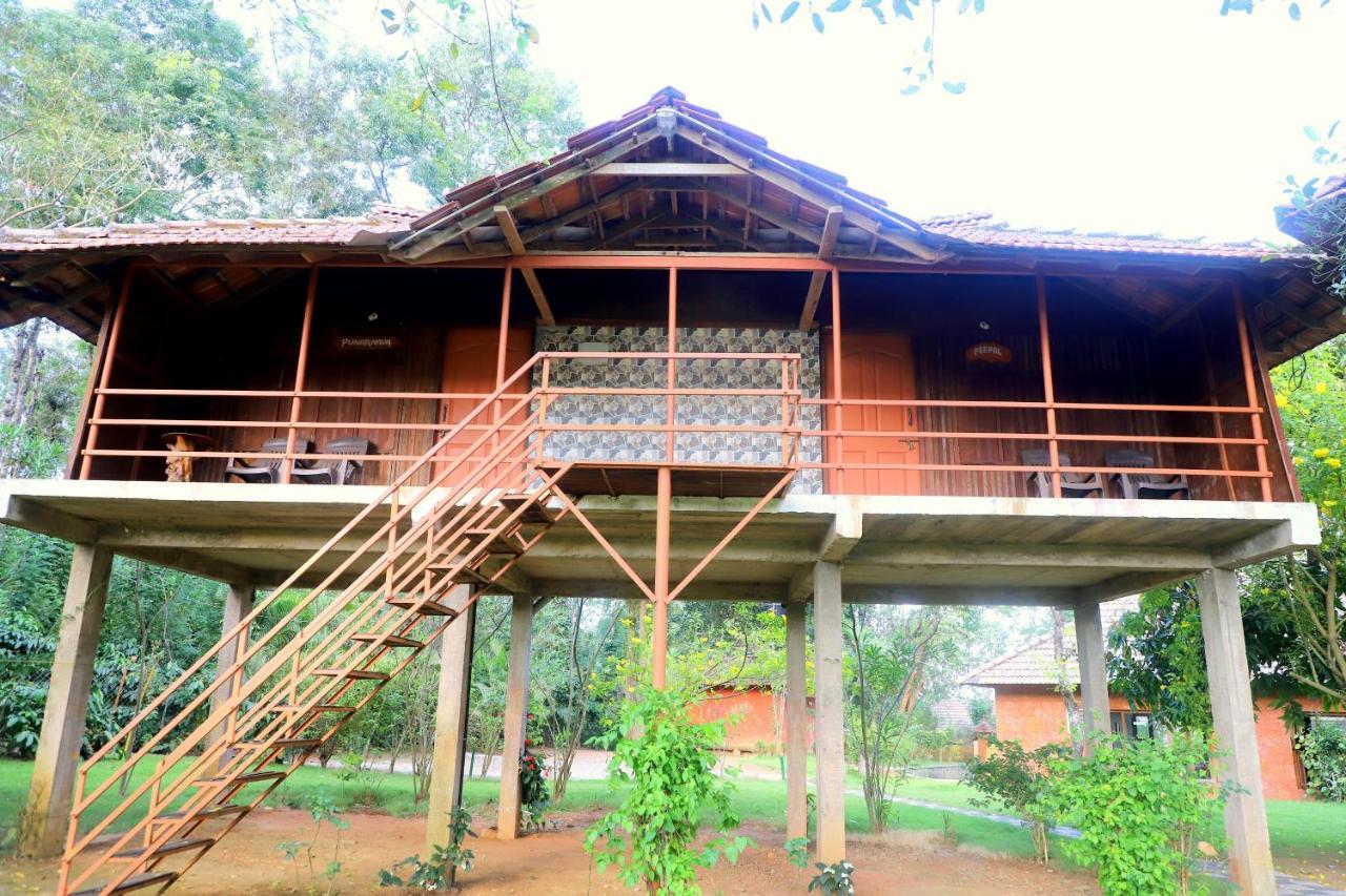 Pepper Green Wayanad Resort With Swimming Pool Kattikkulam المظهر الخارجي الصورة