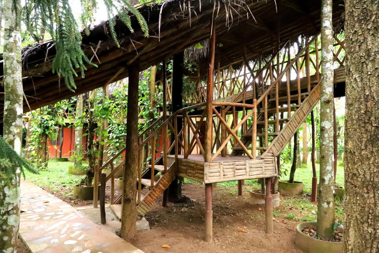Pepper Green Wayanad Resort With Swimming Pool Kattikkulam المظهر الخارجي الصورة