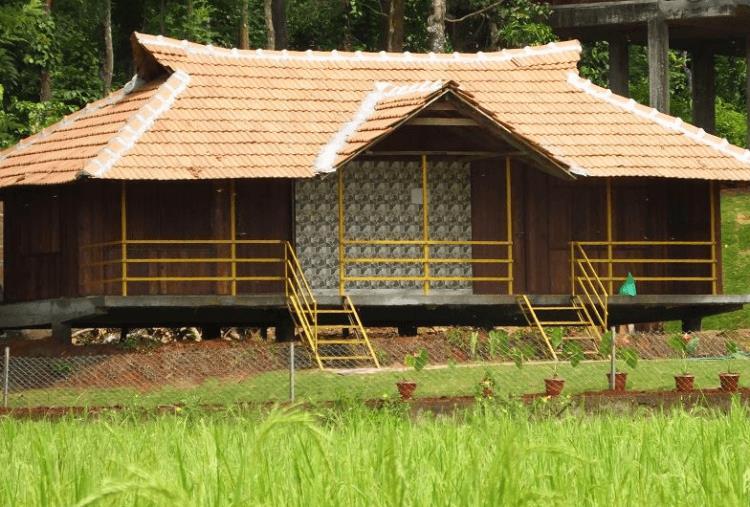Pepper Green Wayanad Resort With Swimming Pool Kattikkulam المظهر الخارجي الصورة